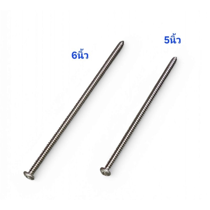 เกลียวปล่อย5" เกลียวปล่อย6" สแตนเลส #12 P หัวกลม ตะปูเกลียว5นิ้ว ตะปูเกลียว6นิ้ว เกลียวปล่อย5นิ้ว เกลียวปล่อย6นิ้ว