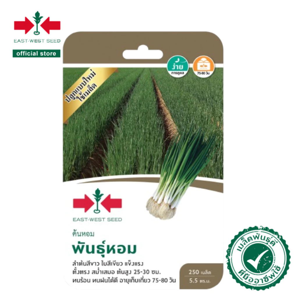 ศรแดง เมล็ดพันธุ์ต้นหอม พันธุ์หอม (East-West Seed) เมล็ดพันธุ์ ผักสวนครัว ตราศรแดง