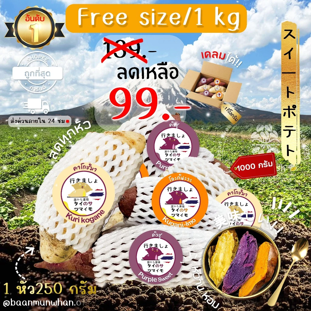 Oishi-Fresh มันหวานญี่ปุ่น 🍠3 สายพันธุ์ 🍠🇹🇭ปลูกไทย🇹🇭 เนื้อ ม่วง ส้ม ครีม หอมหวานออร์แกนิค 1 กก. สินค้าเคลมได้