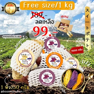 Oishi-Fresh มันหวานญี่ปุ่น 🍠3 สายพันธุ์ 🍠🇹🇭ปลูกไทย🇹🇭 เนื้อ ม่วง ส้ม ครีม หอมหวานออร์แกนิค 1 กก. สินค้าเคลมได้