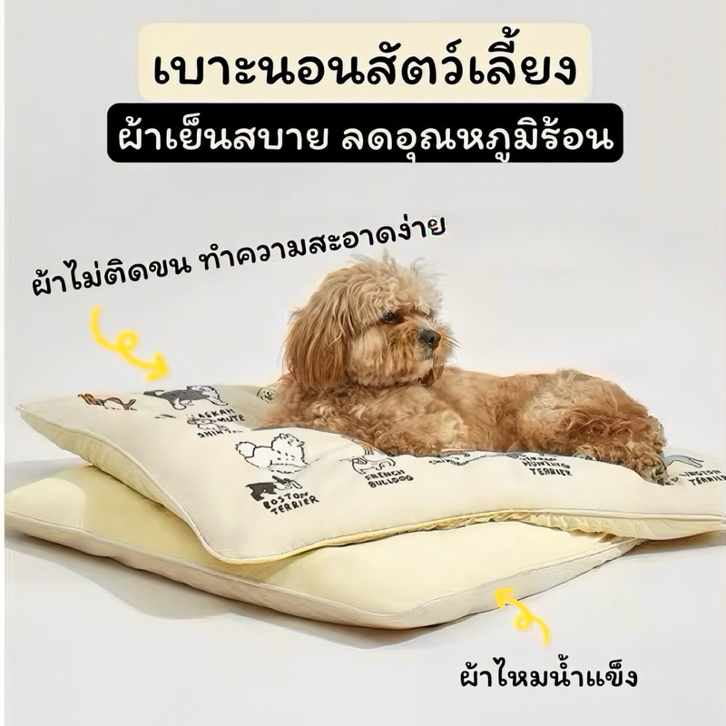 เบาะนอนสัตว์เลี้ยง สุนัข แมว นวัตกรรมผ้าเย็น ผ้าไหมน้ำแข็ง ช่วยคลายร้อน