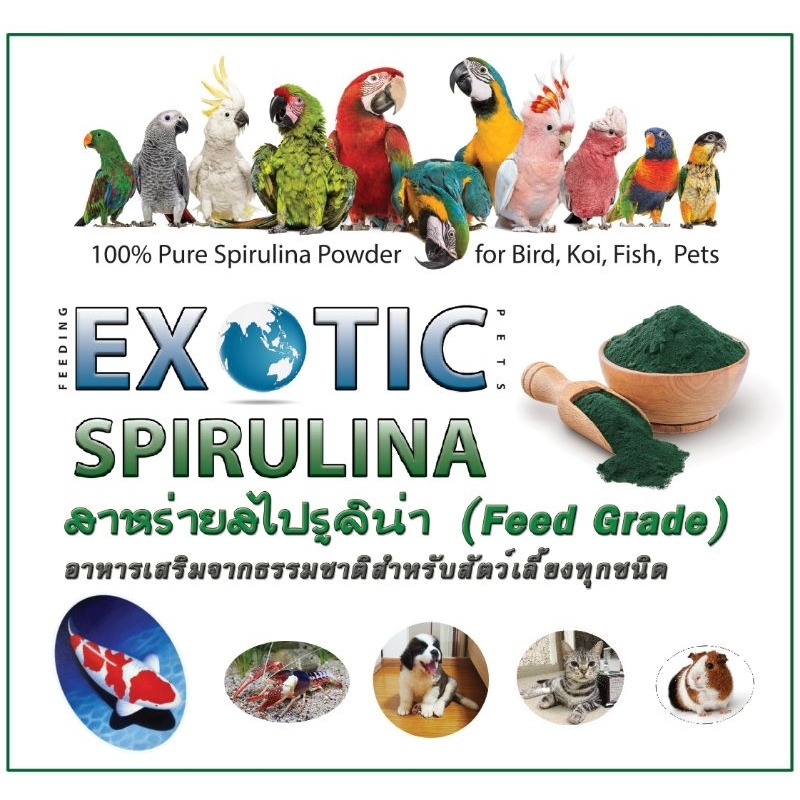 สาหร่ายสไปรูลิน่าแท้ 100% Exotic Spirulina อาหารเสริมสำหรับสัตว์เลี้ยงทุกชนิด ขนาด 200 ก. และ 1 กก.