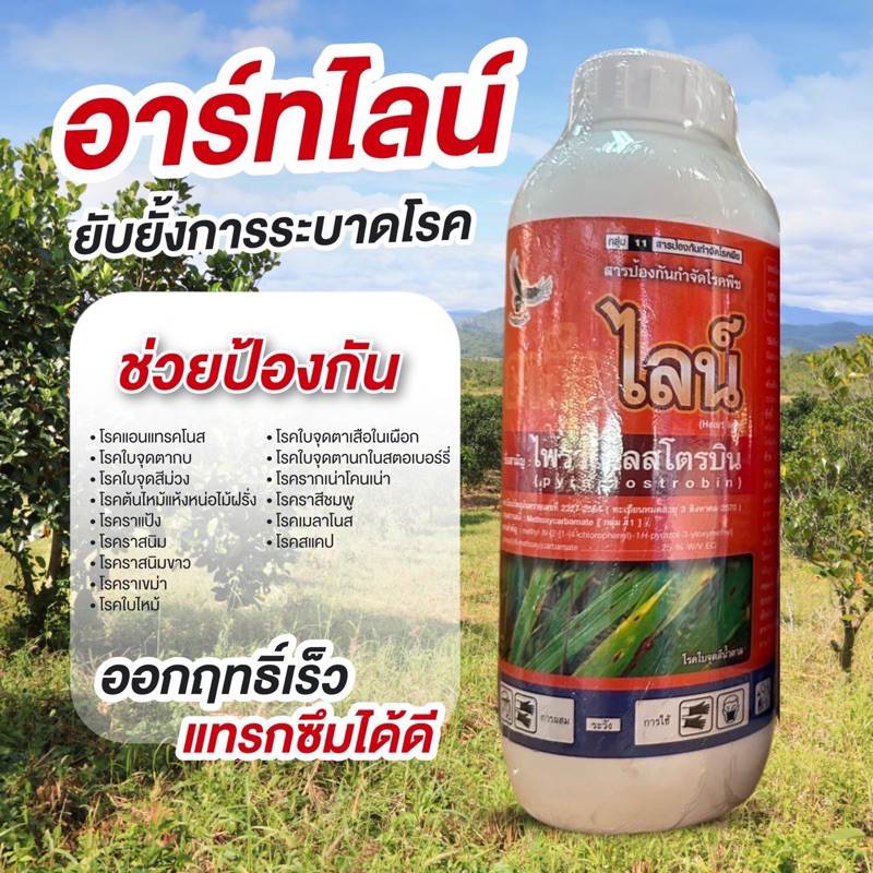 (ยกลัง 12 ขวด)ฮาร์ทไลน์(ไพราโคลสโตรบิน 25% EC) ขนาด 1 ลิตร สารป้องกันกำจัดโรคพืช ใบจุดตากบ ใบไหม้ ราดำ ราแป้ง ราสนิม