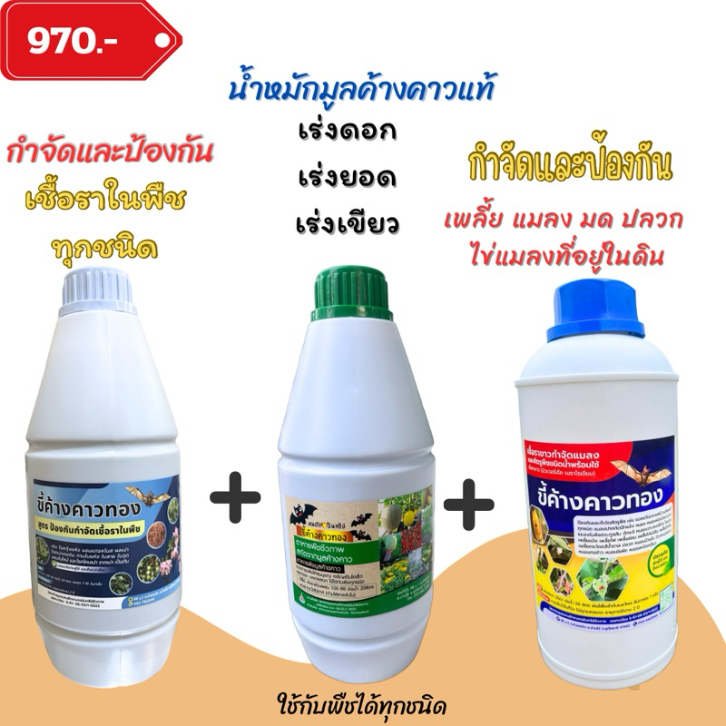 ขี้ค้างคาวทอง บำรุงพืช ขี้ค้างคาวแท้ กำจัดเพลี้ย แมลง ไรแดง เชื้อรา ใบลาย ใบจุด ขอบใบไหม้ รากเน่า ผลเน่า