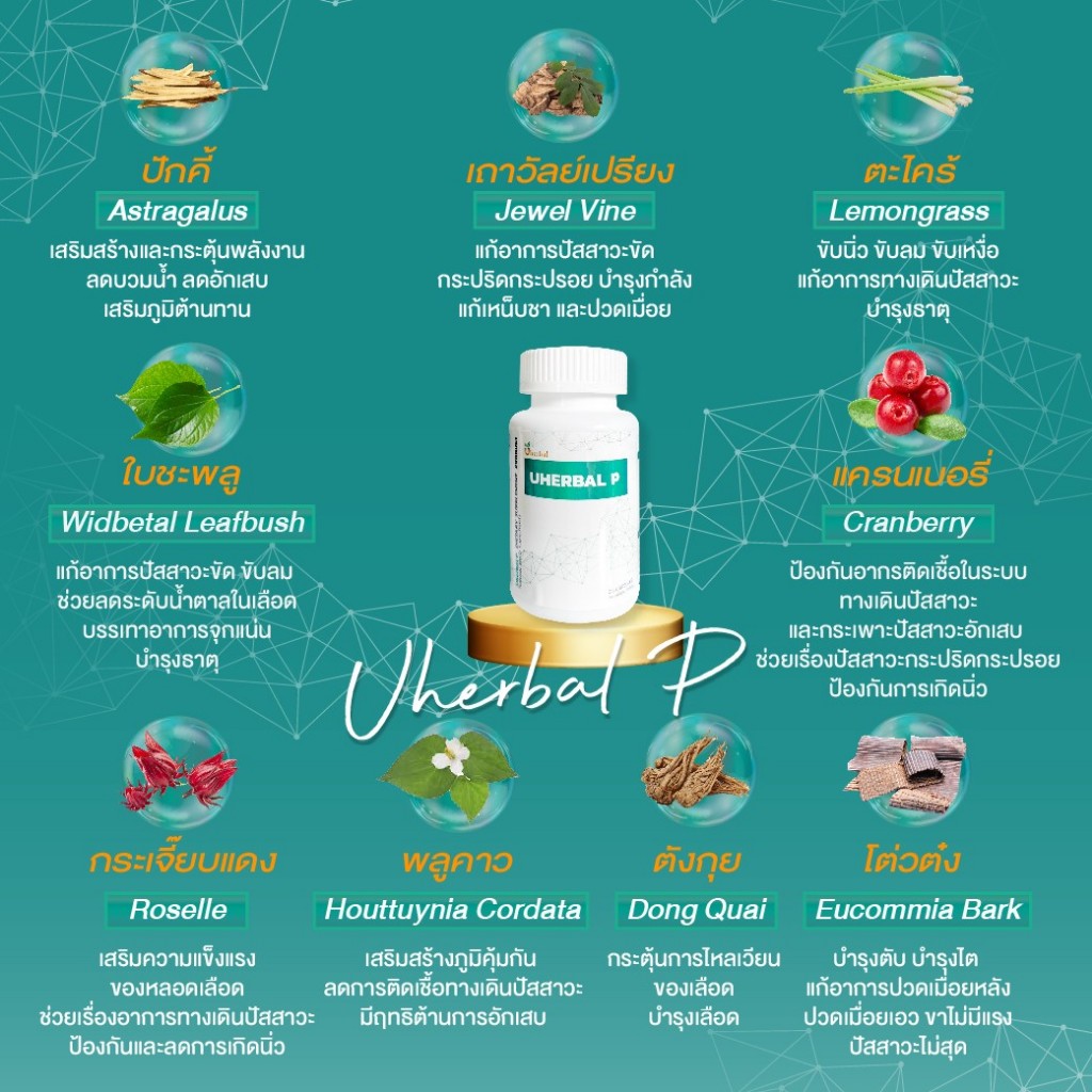 Uherbal P ยูเฮอร์เบิล พี ตัวจริง ตอบโจทย์เรื่องนิ่ว ราคา ถูกที่สุด ดีลบีเคเค แกลเลอรีภาพที่ 7