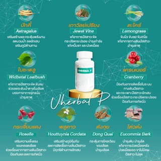 Uherbal P ยูเฮอร์เบิล พี ตัวจริง ตอบโจทย์เรื่องนิ่ว