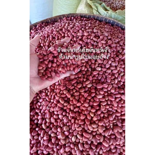เมล็ดพันธุ์ถั่วลิสง สข.38 บรรจุ 500 กรัม แห้งแกะเปลือก งอกดีมากก