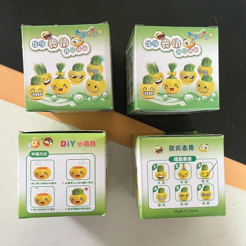 (12 ชิ้น) No.151  ชุดปลูกผัก ชุดทดลองปลูกผัก ฝึกทักษะให้เด็กเล็กมีความอดทน คละชนิด สุ่มแบบกล่องA