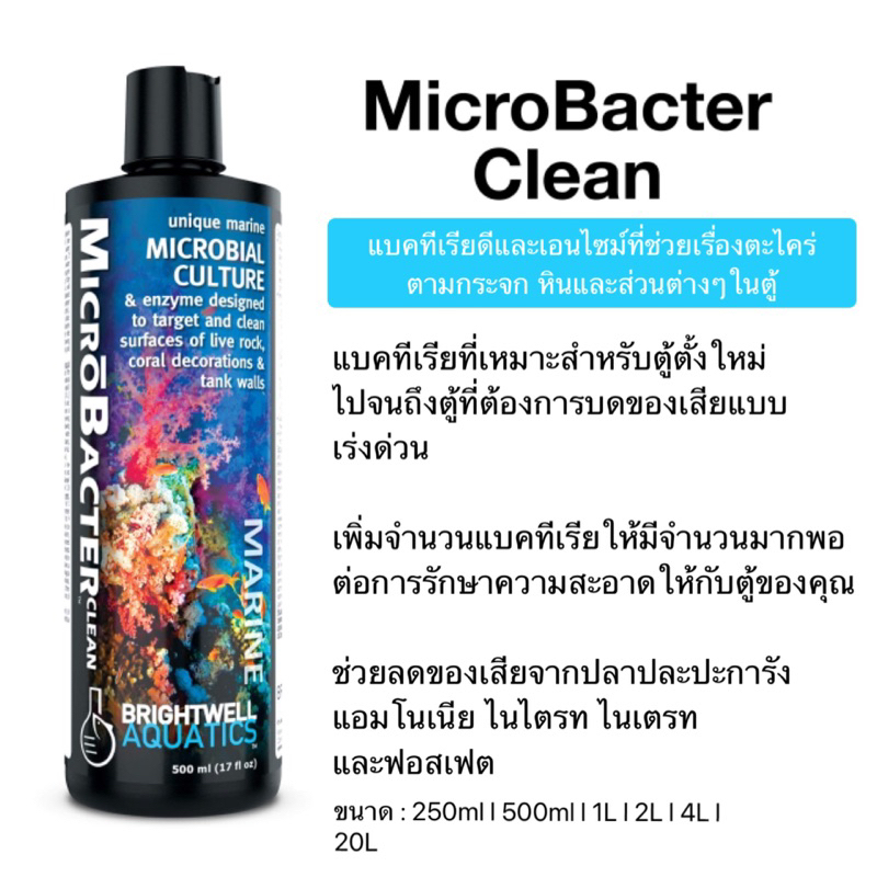 Brightwell Aquatics MicroBacter Clean แบคทีเรียสำหรับตู้ตั้งใหม่ น้ำจืดและน้ำทะเล