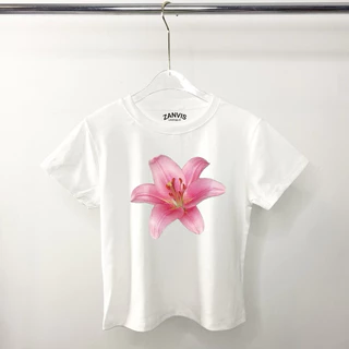 (Zanvis tee)เสื้อครอปเข้ารูป Baby tee 5 size ทรงสวย เก็บทรงดูผอมผ้าคอตตอลยูนิ สกรีนลายเนื้อนุ่ม ใส่สบาย ยืดได้เยอะ