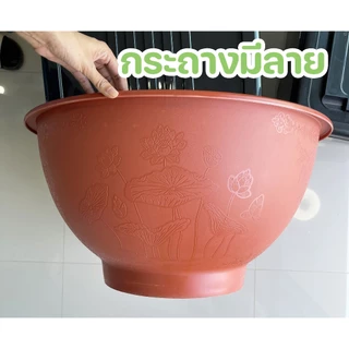 อ่างบัวพลาสติก กระถางต้นไม้พลาสติก ก้นทึบ ไม่เจาะรู ใบใหญ่