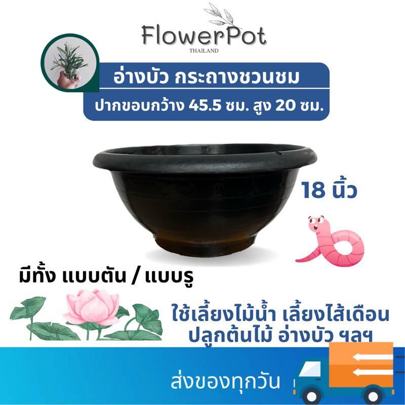 ขนาด 18 นิ้ว  กระถางชวนชม(เจาะรู) / อ่างบัว(ทึบ) สีดำ พลาสติก