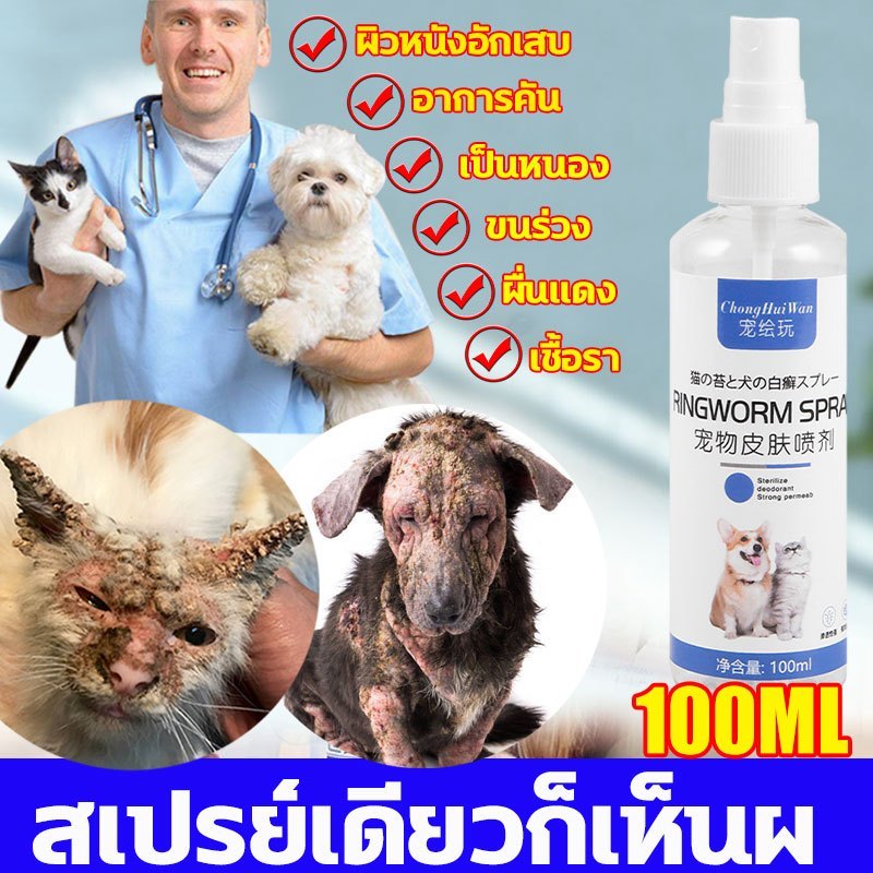 สเปรย์ดูแลผิวหนังสัตว์เลี้ยง เกาคัน เรื้อน เชื้อรา คัน เกา ขนร่วง เชื้อราแมว สุนัขขนร่วง สุนัข ชูก้า ขนร่วง ขี้เรื้อน