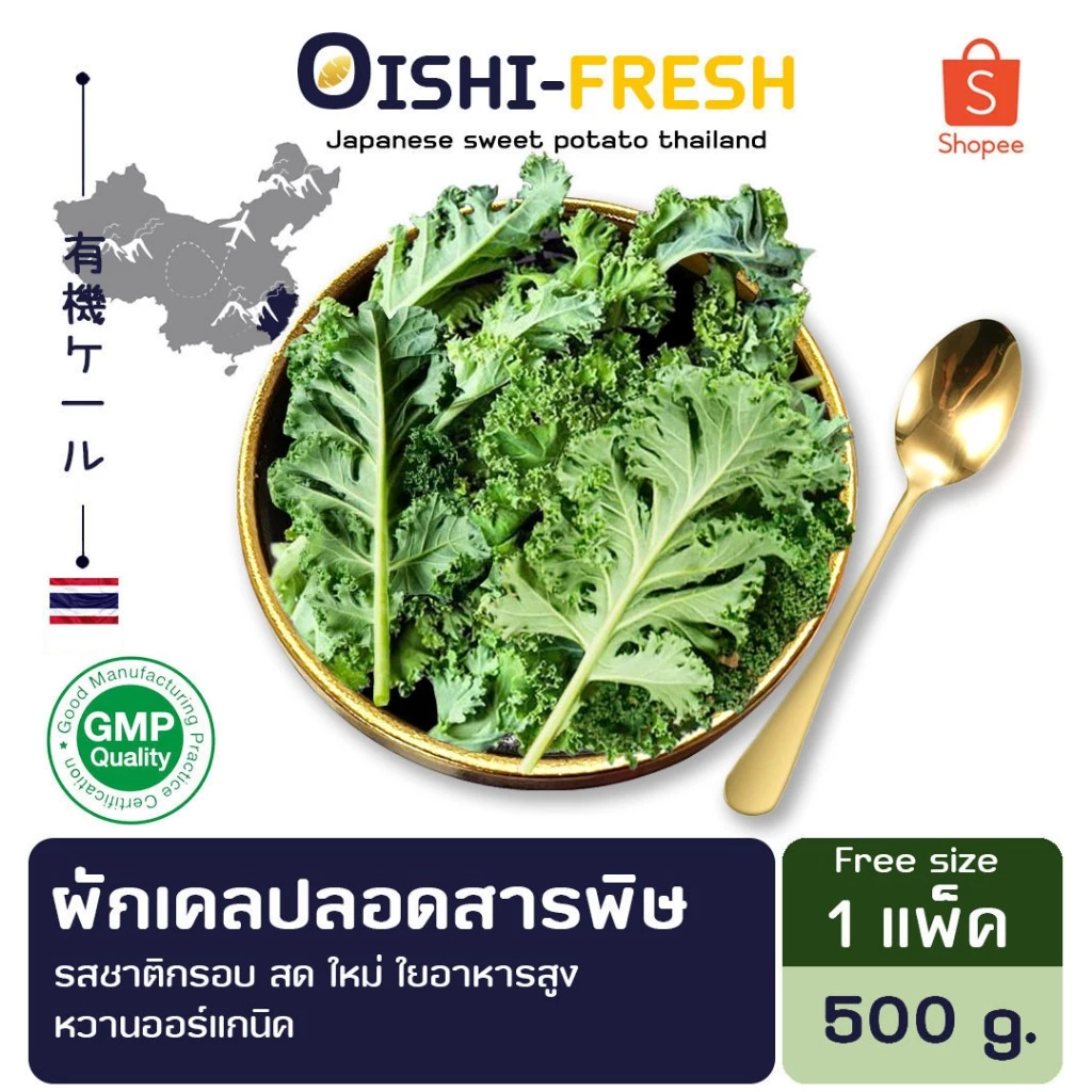 🛒Oishi-Fresh🥬ผักเคล ปลอดสารพิษ 1 กก. รสชาติกรอบ สด ใหม่ ใยอาหารสูง หวานออร์แกนิค เคลมได้ 1-2 วัน