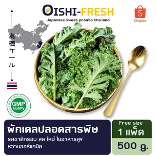 🛒Oishi-Fresh🥬ผักเคล ปลอดสารพิษ 1 กก. รสชาติกรอบ สด ใหม่ ใยอาหารสูง หวานออร์แกนิค เคลมได้ 1-2 วัน
