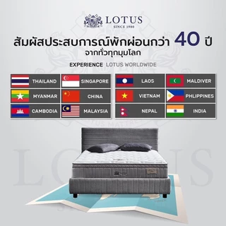 LOTUS ที่นอนยางพาราสีน้ำเงินกรมท่า บรรเทาอาการปวดหลัง Latex Made In Belgium ส่งฟรี