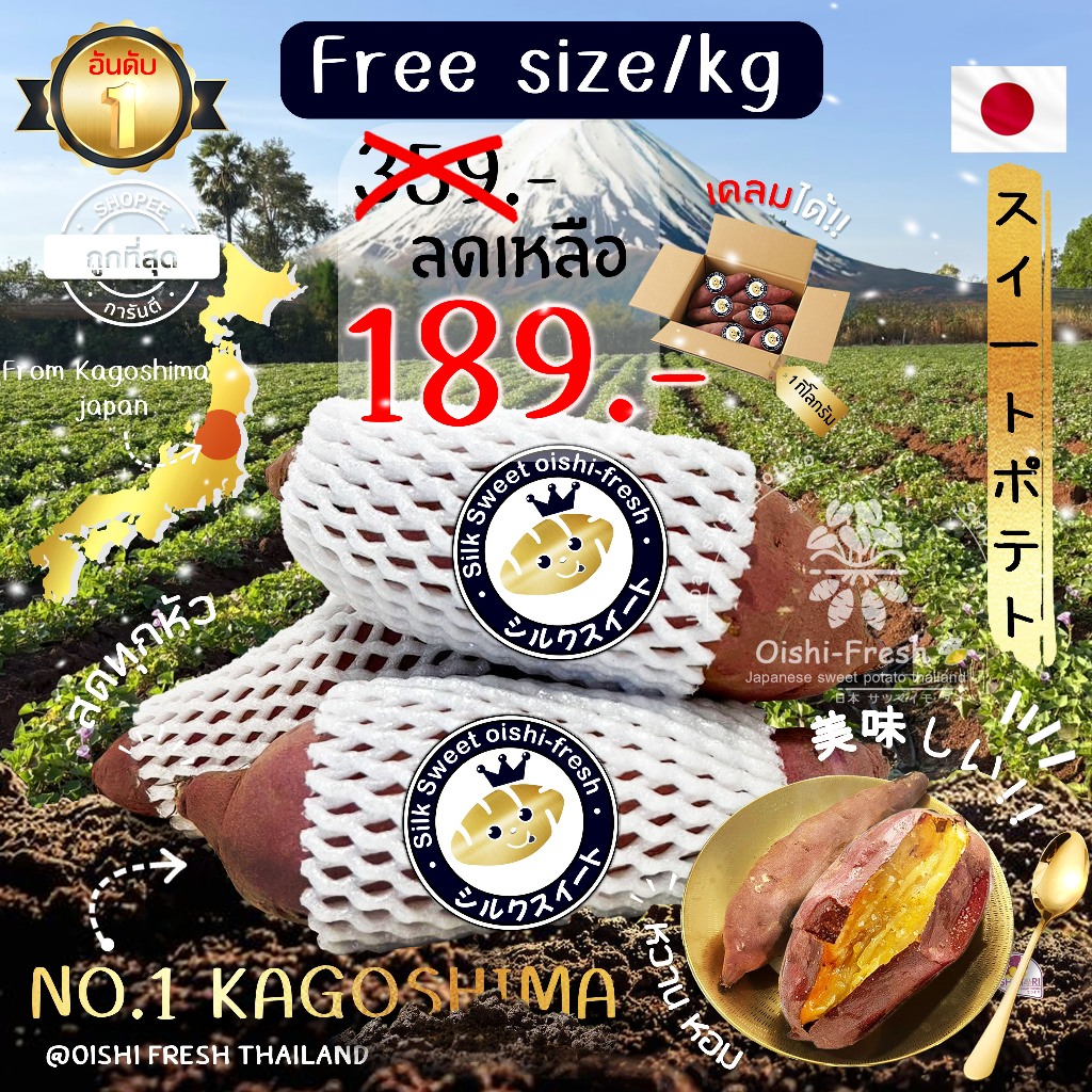‼️ใหม่คุ้มกว่า‼️แท้จากญี่ปุ่น️มันหวานญี่ปุ่น Oishi fresh ซิลสวีท คละไซส์ 1 กก. หวาน หอม เนื้อเหลือง 