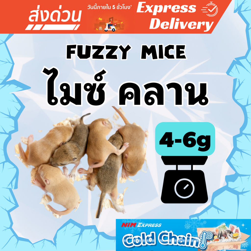 [ส่งทันที] หนูไมซ์คลาน (Mice Fuzzy) 4-6g แพ็ค 10 ตัว หนูแช่แข็ง อาหารแช่แข็ง หนูเหยื่อ Frozen Mice
