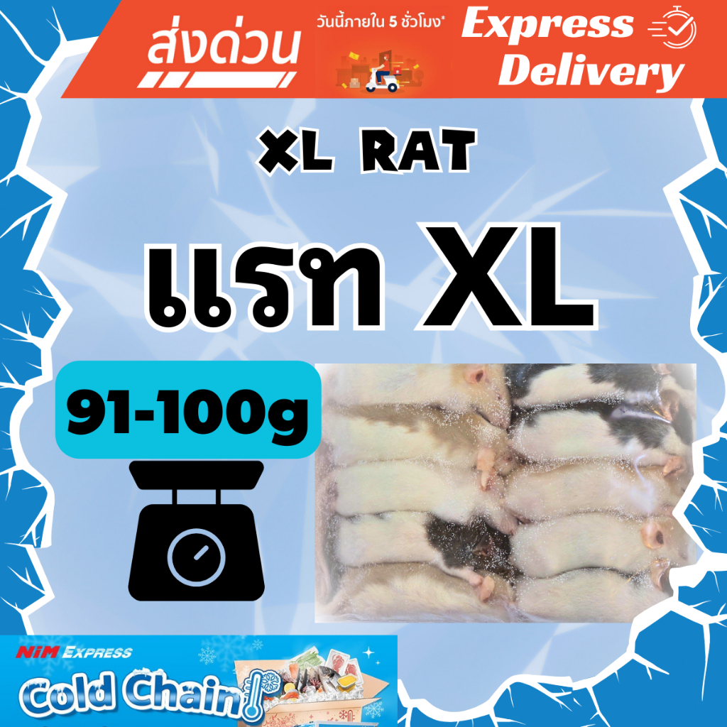 [ส่งทันที] หนูแรทแช่แข็ง หนูแช่แข็ง หนูเหยื่อ Frozen Rat ไซส์ XL (Rat XL) ขนาด 91-100g แพ็ค 10 ตัว