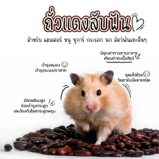 ไม้เเอ๊ปเปิ้ล ที่ลับฟัน หนู เเฮมเตอร์ กระรอก ชูการ์ กระต่าย ดอร์เม้าท์ เเละสัตว์ฟันเเทะอื่นๆๆ