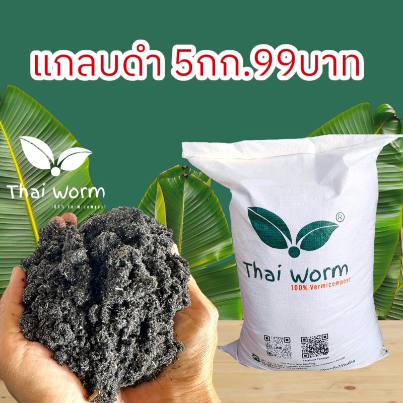 แกลบดำ 5กิโล99บาท Thai worm
