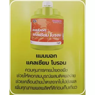 แมมมอท แคลเซียม โบรอน ขนาด 1 ลิตร แมมมอท แคลเซียม โบรอน ขนาด 4 ลิตร ลดการหลุดร่วง เพิ่มน้ำหนัก บริษัทเทพวัฒนา