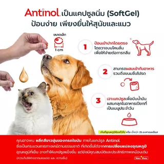 [Official Store] แอนทินอล Antinol® EAB 277™ Bundle Pack 3 กล่อง