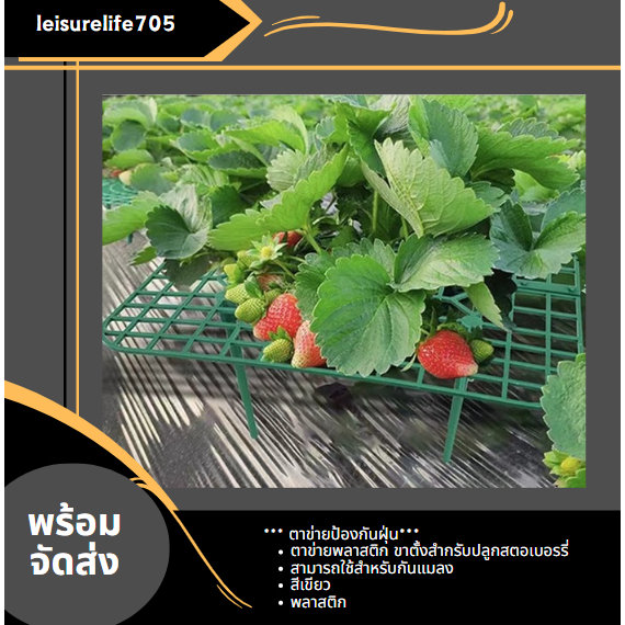 ตาข่ายป้องกันฝุ่น ตาข่ายพลาสติก ขาตั้งสำกรับปลูกสตอเบอรรี่ Leisure life พร้อมจัดส่ง T48
