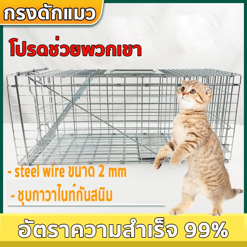 CatTrap กรงดักแมว กรงดักแมวคะ(ไซส์m- xxL) ส เหล็กเส้น ชุบกาวาไนท กันสนิม พับได้ จับแมวจรจัด จับแมว ดักจับแมว