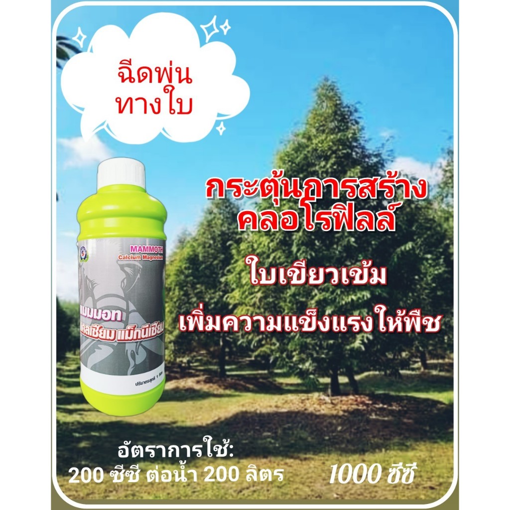 แคลเซียม แม็กนีเซียม เร่งใบเขียว แมมมอท แคลเซียมแม็กนีเซียม 1ลิตร