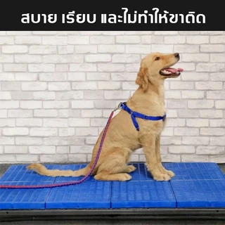 Petorldog แผ่นปูพื้นพลาสติก แผ่นพื้นพลาสติก รองรับน้ำหนักดี สำหรับสัตว์เลี้ยง