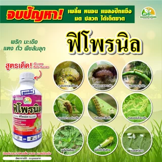 ยากำจัดบั่ว ยาดูดซึม ถูกตัวตาย กินตาย ฟิโพรนิล5% หนอนกอ ปลวก มอด เพลี้ยไก่แจ้ เพลี้ยจักจั่น แมลงค่อมทอง ด้วง