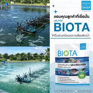 จุลินทรีย์ BIOTA ปรับสภาพน้ำ (12 ซอง)