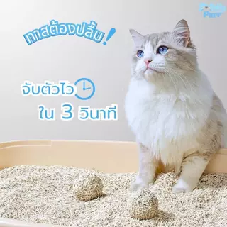 ทรายแมว Molly Purr กลิ่นนมฮอกไกโด ขนาด 6L