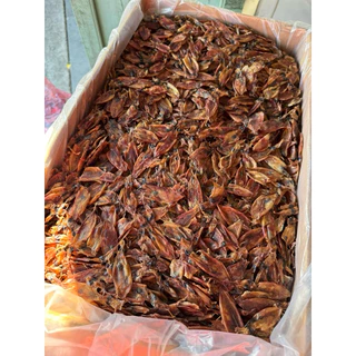 หมึกกระตอยไดร์ เจาะตาไดร์ หมึกแพ หนวดหมึก หมึกA6 ขนาด 500กรัม