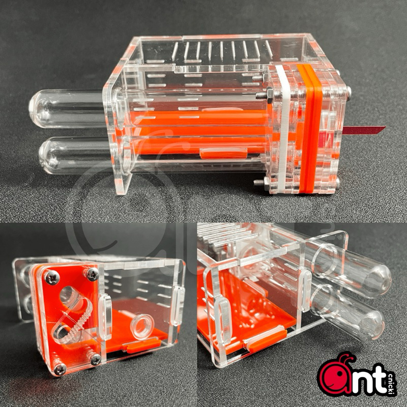 รังมดอะคริลิค รังมดมินิมอล พร้อมหลอดทดลอง 15x100mm. 2 หลอด