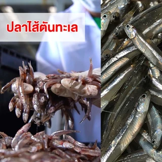 ปลาทะเลและกระดูกปลาป่น ฟีดอัพ สำหรับใช้เสริมอาหารสัตว์ 1 กิโลกรัม