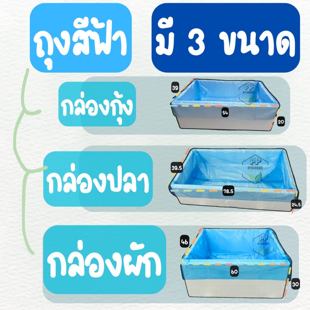 รูปภาพ 2