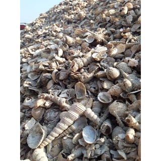 ปูนขาวเปลือกหอยเผาโดโลไมท์ 900g. บดละเอียด แก้ปัญหาพืช ฆ่าเชื้อรา ปูนขาวผสมแร่โดโลไมท์ 100% ปูนเปลือกหอยแท้