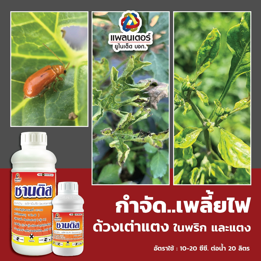 กำจัดเพลี้ย แมงบั่ว เต่าแตง ด้วงหมัดผัก แมลงหวี่ขาว ซานติส (อะเซทามิพริด) บริษัท แพลนเตอร์ ยูไนเต็ด จำกัด