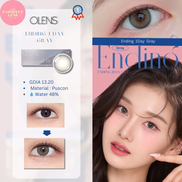 Olens - ending gray สีเทา 1 Day เลนส์รายวัน