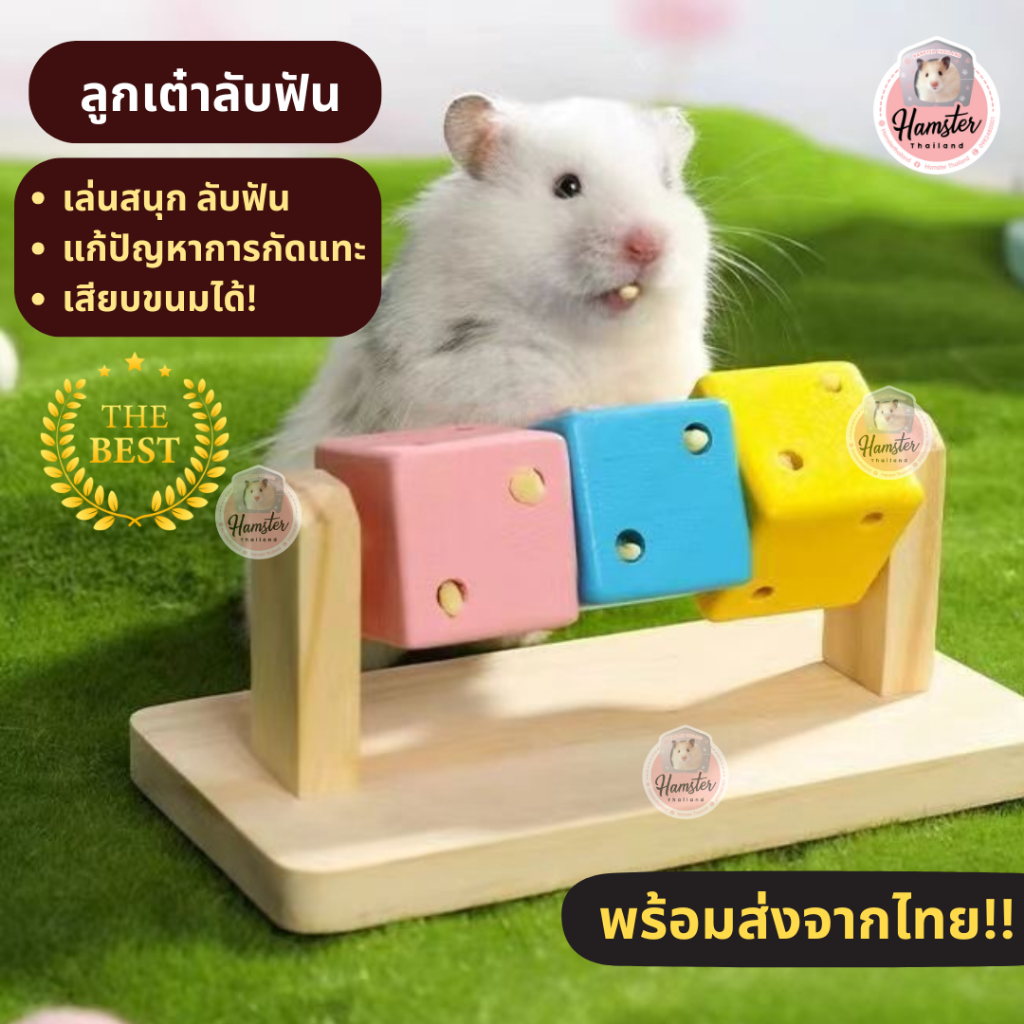 [Hamsterthailand] ลูกเต๋า ลับฟัน ของเล่นสัตว์เลี้ยง ของเล่นไม้ ของเล่นแฮมสเตอร์