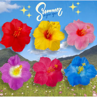 🌼พร้อมส่งจากไทย🌼กิ๊บติดผมดอกชบา กิ๊บติดผมดอกไม้summerหน้าร้อน กิ๊บดอกไม้สไตล์ทะเล