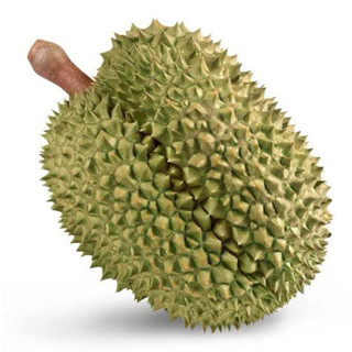 ทุเรียนหมอนทอง เนื้อหวาน มันอร่อย  กรอบนอกนุ่มใน รับประกันเน…