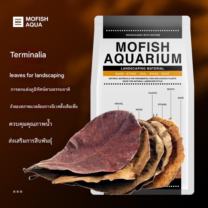 MOFISH Aquarium ใบหูกวาง คัดเกรด กลิ่นหอม เปลือกไม้ ลูกสน ตู้ปลาอเมซอน ลูกทรอมเบตต้า
