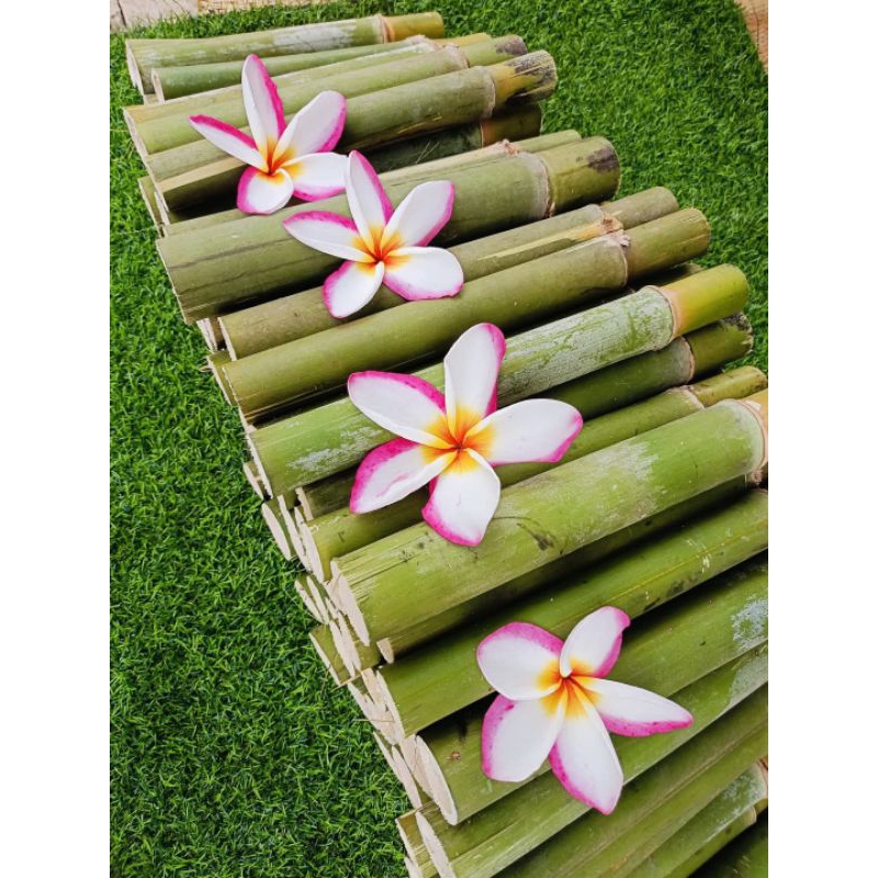 ไม้ข้าวหลาม 20 กระบอก แถมฟรี 2 (คละไซค์) - รูปที่ 2