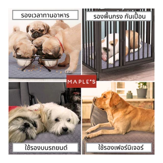 MAPLE'S แผ่นรองฉี่สัตว์เลี้ยง Pet Pee Pad ซักใช้ซ้ำได้ ผ้าซับฉี่ ผ้ารองฉี่หมา คลุมเบาะ แผ่นเจลเย็น