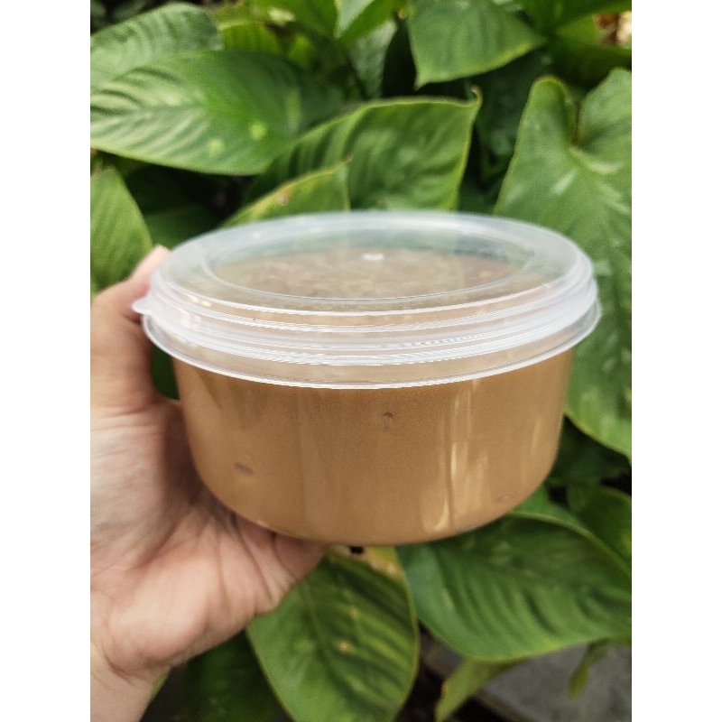 น้ำตาลโตนดแท้ เมืองเพชรบุรี สดใหม่ น้ำหนัก 950 กรัม+++ - รูปที่ 4