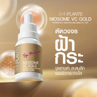 SKINPLANTS Vc Gold Serum 15 ml. เซรั่มลดฝ้า กระ จุดด่างดำ