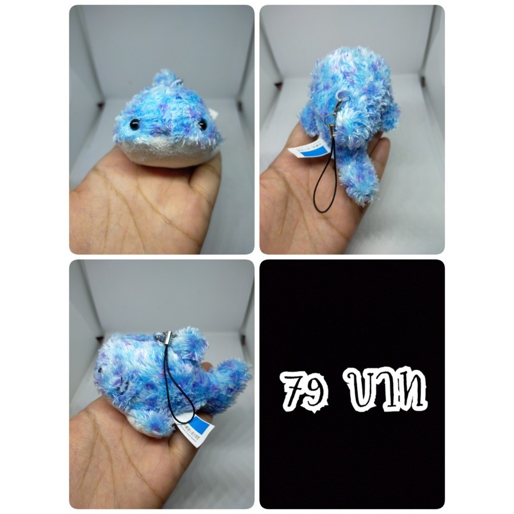 Whale Shark#ฉลามวาฬ#ปลา#Okinawa Churaumi Aquarium#งานพวงญี่ปุ่นมือสอง